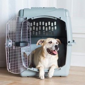 SAC TRAVELER - Transport - Bobby - Accessoires pour chien et chat -  Colliers, manteaux, pulls