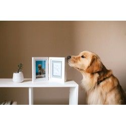 Cadre photo et kit d'empreinte de patte pour animaux de compagnie Keepplex,  cadre photo en bois, argile pour chiens, designer - AliExpress