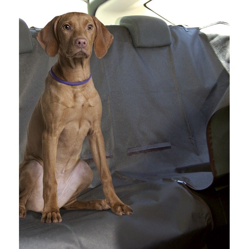 Protection coffre chien : Résistante et lavable