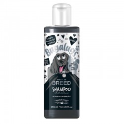 Shampoing BUGALUGS BEST IN BREED* au charbon