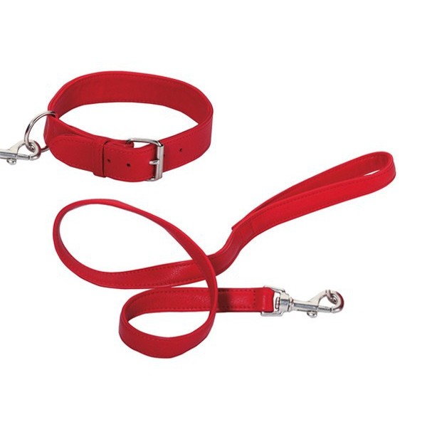 Ensemble collier et laisse en cuir d  agneau  pour  grand chien 